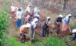 เดคเตเดดเดฟเดฒเตเดฑเดชเตเดชเต เดตเตเดคเดจ เดเตเดเดฟเดถเตเดถเดฟเด เดชเดคเดฟเดจเดเตเดเดฟเดจเดเด เดฒเดญเดฟเดเตเดเตเด เดคเตเดดเดฟเดฒเตเดฑเดชเตเดชเต เดตเตเดคเดจ เดเตเดเดฟเดถเตเดถเดฟเด เดชเดคเดฟเดจเดเตเดเดฟเดจเดเด เดฒเดญเดฟเดเตเดเตเด