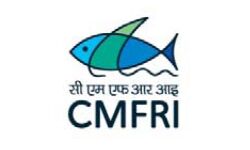 കടല്‍ സസ്തനികളുടെയും കടലാമകളുടെയും പഠനം;5.6 കോടിയുടെ ഗവേഷണ പദ്ധതിയുമായി കേന്ദ്ര സമുദ്രമത്സ്യ ഗവേഷണ സ്ഥാപനം