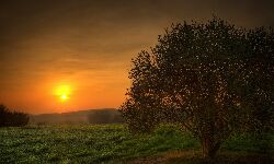 ഈ വര്‍ഷത്തെ റമദാന്റെ പകലുകള്‍ക്കു ദൈര്‍ഘ്യമേറെ