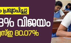 ഹയര്‍ സെക്കന്‍ഡറി ഫലം പ്രഖ്യാപിച്ചു; 84.33 ശതമാനം വിജയം