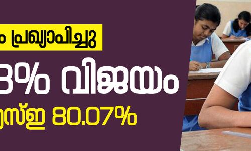 ഹയര് സെക്കന്ഡറി ഫലം പ്രഖ്യാപിച്ചു; 84.33 ശതമാനം വിജയം ഹയര് സെക്കന്ഡറി ഫലം പ്രഖ്യാപിച്ചു; 84.33 ശതമാനം വിജയം