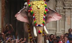 തെച്ചിക്കോട്ടുക്കാവ് രാമചന്ദ്രന്റെ വിലക്കിനെതിരായ ഹരജി ഇന്ന് ഹൈക്കോടതിയില്‍