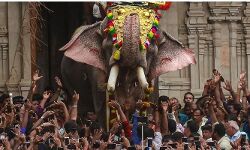 പൂരങ്ങളുടെ പൂരം ഇന്ന്; ആവേശ ലഹരിയില് തൃശൂര് പൂരങ്ങളുടെ പൂരം ഇന്ന്; ആവേശ ലഹരിയില് തൃശൂര്