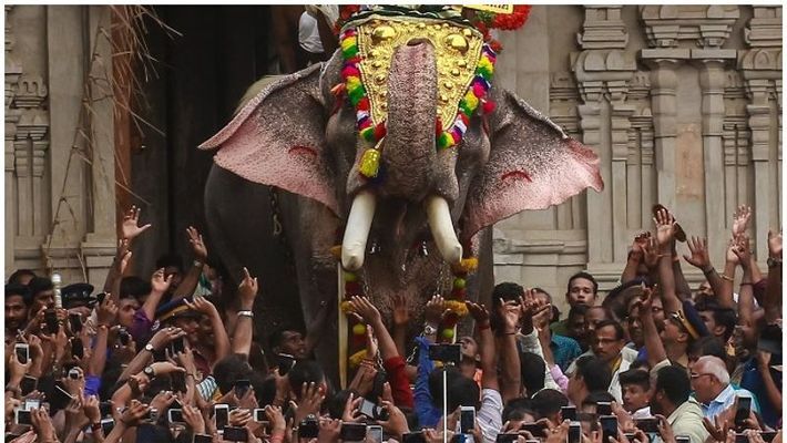 പൂരങ്ങളുടെ പൂരം ഇന്ന്; ആവേശ ലഹരിയില് തൃശൂര് പൂരങ്ങളുടെ പൂരം ഇന്ന്; ആവേശ ലഹരിയില് തൃശൂര്