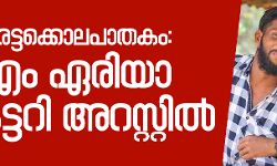 പെരിയ ഇരട്ടക്കൊല:    സിപിഎം ഏരിയാ സെക്രട്ടറിയടക്കം രണ്ട് നേതാക്കള്‍ അറസ്റ്റില്‍