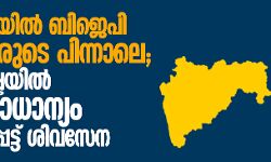 เดนเดฐเดฟเดฏเดพเดจเดฏเดฟเดฒเตโ เดฌเดฟเดเตเดชเดฟ เดธเตเดตเดคเดจเตเดคเตเดฐเดฐเตเดเต เดชเดฟเดจเตเดจเดพเดฒเต; เดฎเดนเดพเดฐเดพเดทเตเดเตเดฐเดฏเดฟเดฒเตโ เดคเตเดฒเตเดฏเดชเตเดฐเดพเดงเดพเดจเตเดฏเด เดเดตเดถเตเดฏเดชเตเดชเตเดเตเดเต เดถเดฟเดตเดธเตเดจ เดนเดฐเดฟเดฏเดพเดจเดฏเดฟเดฒเตโ เดฌเดฟเดเตเดชเดฟ เดธเตเดตเดคเดจเตเดคเตเดฐเดฐเตเดเต เดชเดฟเดจเตเดจเดพเดฒเต; เดฎเดนเดพเดฐเดพเดทเตเดเตเดฐเดฏเดฟเดฒเตโ เดคเตเดฒเตเดฏเดชเตเดฐเดพเดงเดพเดจเตเดฏเด เดเดตเดถเตเดฏเดชเตเดชเตเดเตเดเต เดถเดฟเดตเดธเตเดจ