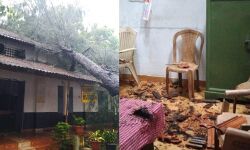 സ്‌കൂളിന് മുകളിലേക്ക് മരംവീണ് ക്ലാസ്മുറിയും സ്റ്റാഫ് റൂമും തകര്‍ന്നു