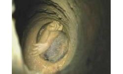 രണ്ടുവയസ്സുകാരന്‍ കുഴല്‍ക്കിണറില്‍ വീണു; രക്ഷാപ്രവര്‍ത്തനം ഊര്‍ജ്ജിതം