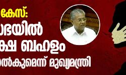 വാളയാർ കേസ്: പ്രതിപക്ഷ ബഹളത്തിൽ നിയമസഭ പിരിഞ്ഞു; അപ്പീൽ നൽകുമെന്ന് മുഖ്യമന്ത്രി