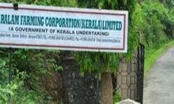 ആറളം ഫാം: വാസയോഗ്യമല്ലാത്ത 286 വീടുകള്‍ പുതുക്കിപ്പണിയും