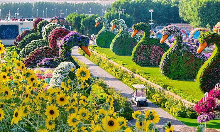 ദുബയ് മിറാക്കിള്‍ ഗാര്‍ഡന്‍ വെള്ളിയാഴ്ച തുറക്കും