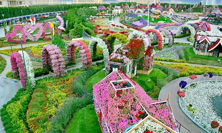 ദുബയ് മിറാക്കിള്‍ ഗാര്‍ഡന്‍ വെള്ളിയാഴ്ച തുറക്കും