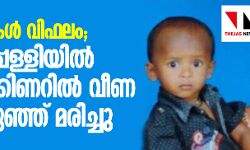 പ്രാര്‍ത്ഥനകള്‍ വിഫലം; തിരുച്ചിറപ്പള്ളിയില്‍ കുഴല്‍ക്കിണറില്‍ വീണ പിഞ്ചുകുഞ്ഞ് മരിച്ചു