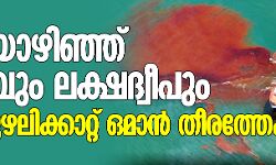 ഭീതിയൊഴിഞ്ഞ് കേരളവും ലക്ഷദ്വീപും; മഹാ ചുഴലിക്കാറ്റ് ഒമാന്‍ തീരത്തേക്ക്