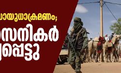 മാലിയില്‍ സായുധാക്രമണം; 53 സൈനികര്‍ കൊല്ലപ്പെട്ടു