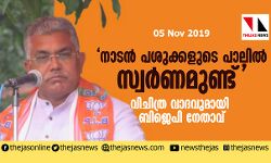 നാടന്‍ പശുക്കളുടെ പാലില്‍ സ്വര്‍ണമുണ്ട്; വിചിത്ര വാദവുമായി ബിജെപി നേതാവ്