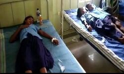 സ്‌കൂള്‍ ഭക്ഷണത്തില്‍ ചത്ത പല്ലി; 60 കുട്ടികള്‍ ആശുപത്രിയില്‍.