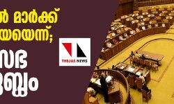 കേരളയില് മാര്ക്ക് ദാന മാഫിയയെന്ന്; നിയമസഭ പ്രക്ഷുബ്ധം കേരളയില് മാര്ക്ക് ദാന മാഫിയയെന്ന്; നിയമസഭ പ്രക്ഷുബ്ധം