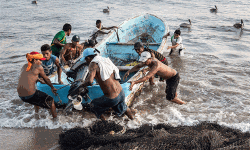 മത്സ്യതൊഴിലാളികള്‍ക്ക് ആശ്വാസ നടപടി; കേന്ദ്രം 19.14 കോടി അനുവദിച്ചു