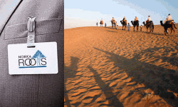 പ്രവാസി പുനരധിവാസ പദ്ധതി;  അര്‍ഹതാ നിര്‍ണയവും സംരംഭകത്വ പരിശീലനവും എറണാകുളത്ത്