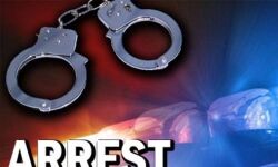 യുവാവിനെ തട്ടിക്കൊണ്ടുപോയി നാലുലക്ഷം കവര്‍ന്ന സംഭവം: എന്‍ജിനീയറിങ് വിദ്യാര്‍ഥിയടക്കം രണ്ടുപേര്‍ പിടിയില്‍