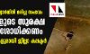 പാമ്പുകടിയേറ്റ് വിദ്യാര്‍ഥിനി മരിച്ച സംഭവം: സ്‌കൂളുകളുടെ സുരക്ഷ നേരിട്ട് പരിശോധിക്കണം; കര്‍ശന നടപടികളുമായി ജില്ലാ കലക്ടര്‍
