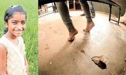 പത്തനംതിട്ട ജില്ലയിലെ എല്ലാ സ്കൂളുകളിലും സുരക്ഷാ പരിശോധന നടത്താന് നിര്ദേശം പത്തനംതിട്ട ജില്ലയിലെ എല്ലാ സ്കൂളുകളിലും സുരക്ഷാ പരിശോധന നടത്താന് നിര്ദേശം