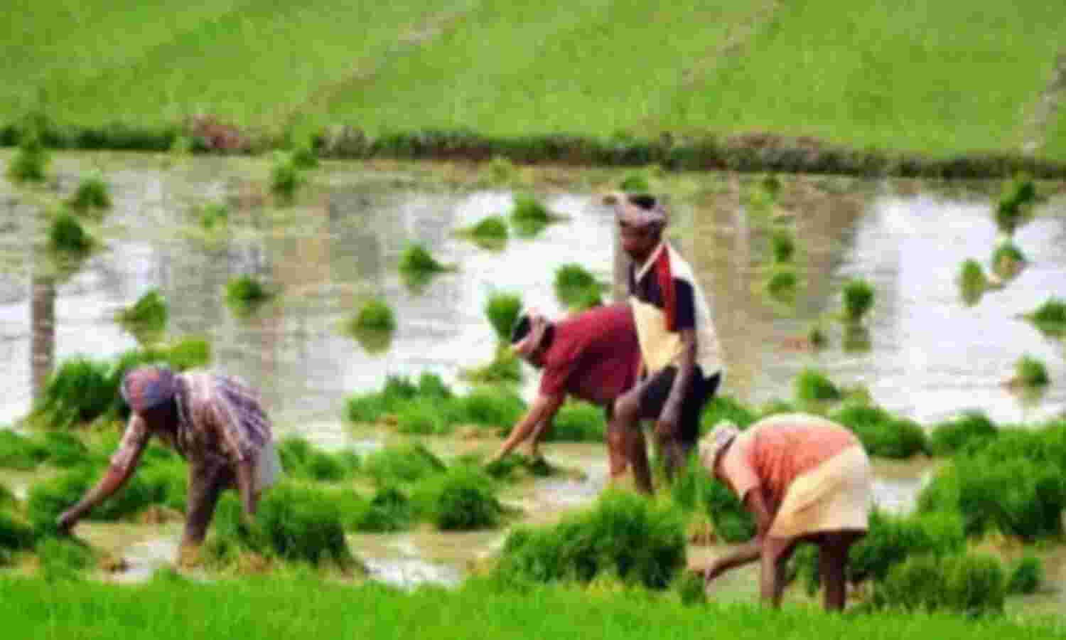 കാര്ഷിക കടാശ്വാസം നീട്ടണം; സര്ക്കാര് ആർബിഐയെ സമീപിച്ചു കാര്ഷിക കടാശ്വാസം നീട്ടണം; സര്ക്കാര് ആർബിഐയെ സമീപിച്ചു