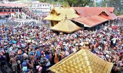 ശബരിമലയില്‍ മരം ഒടിഞ്ഞു വീണ് 12പേര്‍ക്ക് പരിക്ക്