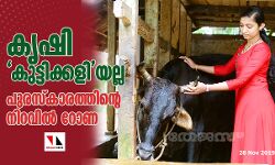 കൃഷി കുട്ടിക്കളിയല്ല;  സംസ്ഥാന കുട്ടിക്കര്‍ഷക പുരസ്‌കാരത്തിന്റെ നിറവില്‍ റോണ