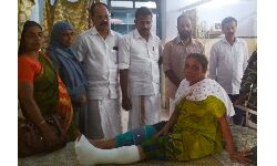 തിരുമേനിയില് കാട്ടുപന്നിയുടെ കുത്തേറ്റ് വീട്ടമ്മയ്ക്കു പരിക്ക് തിരുമേനിയില് കാട്ടുപന്നിയുടെ കുത്തേറ്റ് വീട്ടമ്മയ്ക്കു പരിക്ക്