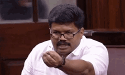 സില്ലി എന്ന വാക്ക് അണ്‍പാര്‍ലമെന്ററിയെന്ന് രാജ്യസഭ ഉപാധ്യക്ഷന്‍