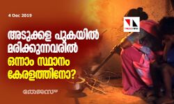 เด
เดเตเดเตเดเดณ เดชเตเดเดฏเดฟเดฒเตโ เดฎเดฐเดฟเดเตเดเตเดจเตเดจเดตเดฐเดฟเดฒเตโ เดเดจเตเดจเดพเด เดธเตเดฅเดพเดจเด เดเตเดฐเดณเดคเตเดคเดฟเดจเต? เด
เดเตเดเตเดเดณ เดชเตเดเดฏเดฟเดฒเตโ เดฎเดฐเดฟเดเตเดเตเดจเตเดจเดตเดฐเดฟเดฒเตโ เดเดจเตเดจเดพเด เดธเตเดฅเดพเดจเด เดเตเดฐเดณเดคเตเดคเดฟเดจเต?