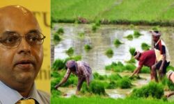 മോറട്ടോറിയത്തിൽ കാലതാമസം; ചീഫ്‌ സെക്രട്ടറിയുടെ റിപ്പോര്‍ട്ട്  മന്ത്രിസഭാ യോഗം തള്ളി