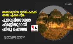 അയോധ്യയില്‍ മുസ്‌ലിംകള്‍ക്ക് അഞ്ച് ഏക്കര്‍ ഭൂമി: പുനപ്പരിശോധനാ ഹര്‍ജിയുമായി ഹിന്ദു മഹാസഭ