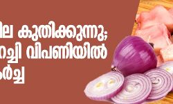സവാള വില കുതിക്കുന്നു; കോഴിയിറച്ചി വിപണിയിൽ വിലത്തകർച്ച