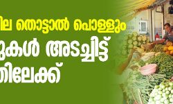 പച്ചക്കറി വില തൊട്ടാല്‍ പൊള്ളും: ഹോട്ടലുകള്‍ അടച്ചിട്ട് സമരത്തിലേക്ക്
