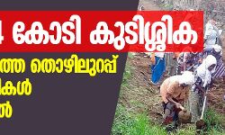 815.64 കോടി കുടിശിക: സംസ്ഥാനത്തെ തൊഴിലുറപ്പ് തൊഴിലാളികള്‍ ദുരിതത്തില്‍