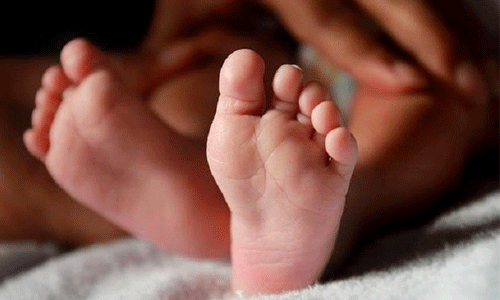 അട്ടപ്പാടിയില് വീണ്ടും നവജാത ശിശു മരിച്ചു അട്ടപ്പാടിയില് വീണ്ടും നവജാത ശിശു മരിച്ചു