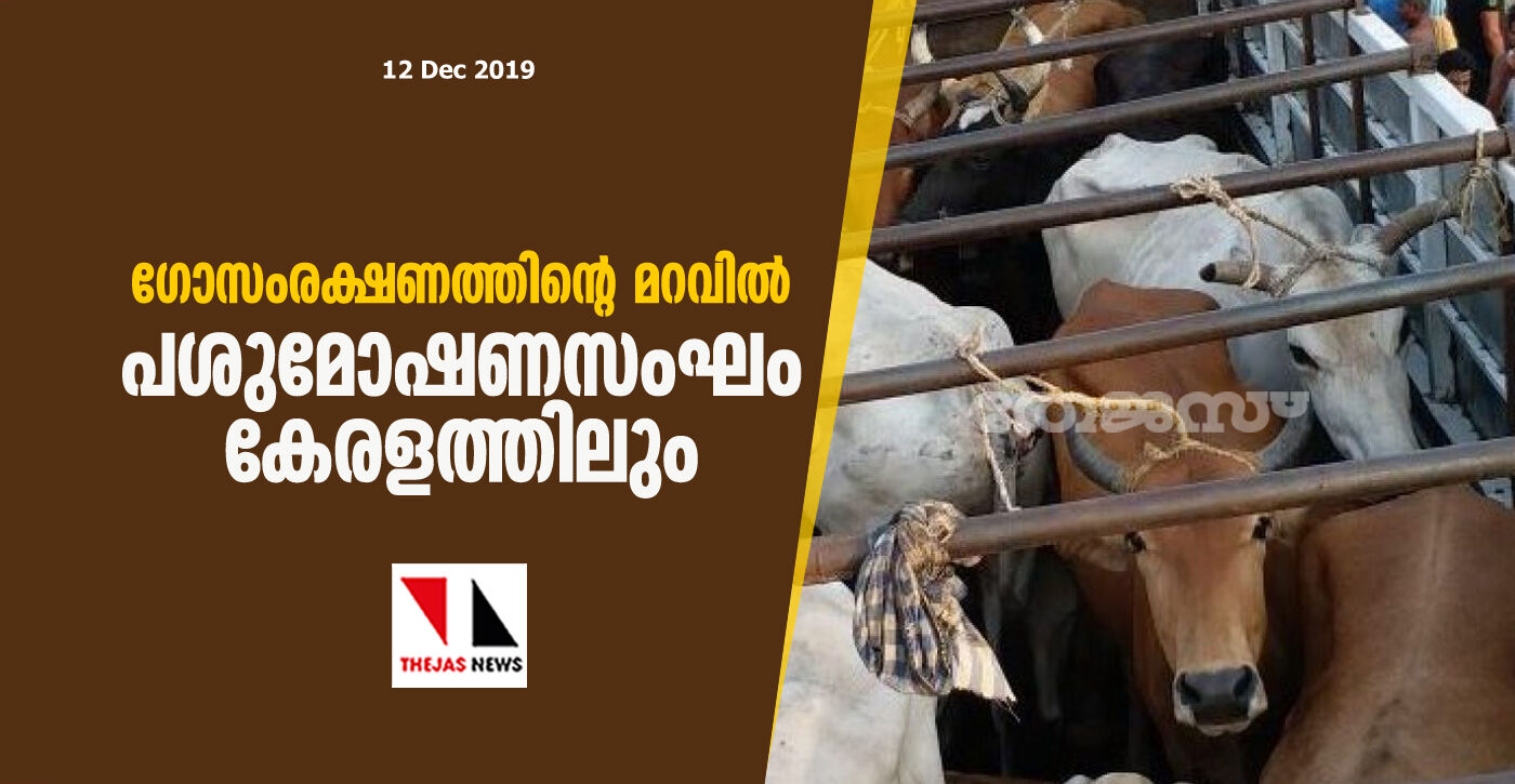 ഗോ സംരക്ഷണത്തിന്റെ മറവില്‍ പശുമോഷണസംഘം കേരളത്തിലും