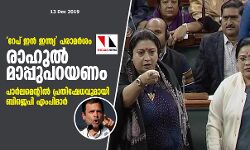 റേപ് ഇന്‍ ഇന്ത്യ പരാമര്‍ശം: രാഹുല്‍ മാപ്പുപറയണം; പാര്‍ലമെന്റില്‍ പ്രതിഷേധവുമായി ബിജെപി എംപിമാര്‍