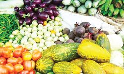 നുറുക്കിയ പച്ചക്കറികൾ ഓൺലൈനിലൂടെ വീട്ടിലെത്തിച്ച് വെജിറ്റബിൾ ഫ്രൂട്ട് പ്രൊമോഷൻ കൗൺസിൽ