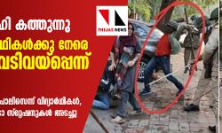 ദക്ഷിണ ഡല്‍ഹി കത്തുന്നു;  ജാമിഅ വിദ്യാര്‍ഥികള്‍ക്കു നേരെ പോലിസ് വെടിവയ്‌പെന്ന് സൂചന,  ബസ്സുകള്‍ക്ക് തീയിട്ടത് പോലിസെന്ന് വിദ്യാര്‍ഥികള്‍,  ഡല്‍ഹിയിലെ നാല് മെട്രോ സ്‌റ്റേഷനുകള്‍ അടച്ചു