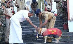 കേരളാ പോലിസിന്‍റെ ശ്വാനസേനയിലേക്ക് 20 പുതിയ നായ്ക്കുട്ടികള്‍
