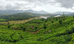 ഇടുക്കി: കര്‍ഷകരുടെ പ്രശ്‌നങ്ങൾ പരിഹരിക്കും- മുഖ്യമന്ത്രി