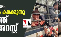 പൗരത്വ നിയമം: പ്രതിഷേധം കനക്കുന്നു, രാജ്യത്ത് കൂട്ട അറസ്റ്റ്‌