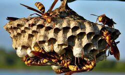 เดเดเดจเตเดจเดฒเตเดเดณเตเดเต เดเดเตเดฐเดฎเดฃเดคเตเดคเดฟเดฒเตโ 53 เดตเดฟเดฆเตเดฏเดพเดฐเตโเดฅเดฟเดเดณเตโเดเตเดเต เดชเดฐเดฟเดเตเดเต เดเดเดจเตเดจเดฒเตเดเดณเตเดเต เดเดเตเดฐเดฎเดฃเดคเตเดคเดฟเดฒเตโ 53 เดตเดฟเดฆเตเดฏเดพเดฐเตโเดฅเดฟเดเดณเตโเดเตเดเต เดชเดฐเดฟเดเตเดเต