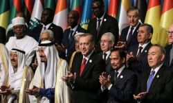 സിഎഎ, എന്‍ആര്‍സി: ഇന്ത്യന്‍ മുസ്‌ലിംകളുടെ അവസ്ഥയില്‍ ആശങ്ക പ്രകടിപ്പിച്ച് ഒഐസി