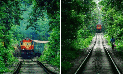 നിലമ്പൂര്‍-ഷൊര്‍ണൂര്‍ പാതയില്‍ രാത്രി ഗതാഗതത്തിന് അനുമതി;  രണ്ടുമാസത്തിനുള്ളില്‍ ട്രെയിന്‍ സര്‍വീസ് ആരംഭിക്കും