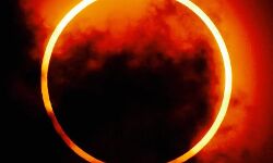 വലയ സൂര്യഗ്രഹണം നേരില്‍ കാണാന്‍ സൗകര്യമൊരുക്കി തെരട്ടമ്മല്‍ എഎംയുപി സ്‌കൂള്‍